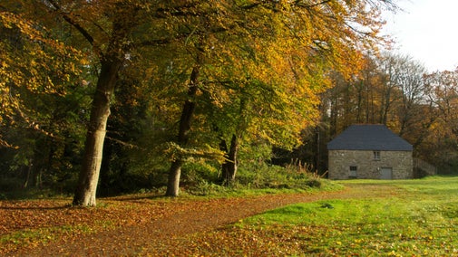 The Cider House at Godolphin, Cornwall with trees covered in autumn leaves.